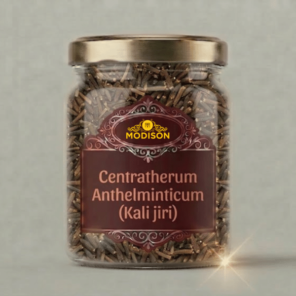 Modison Centratherum Anthelminticum (Kali jiri)